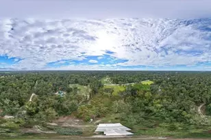 1377 NE 143rd Ave, Old Town, FL 32680 - Photo 37