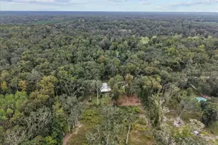 1377 NE 143rd Ave, Old Town, FL 32680 - Photo 31