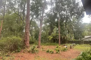 635 NE 9th Ave, Gainesville, FL 32601 - Photo 17