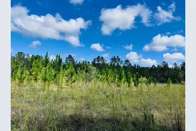 5271 NW County Road 347, Chiefland, FL 32626 - Photo 33