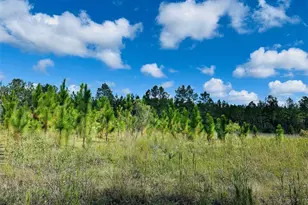 5271 NW Co Rd 347, Chiefland, FL 32626 - Photo 33