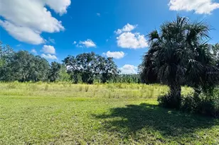 5271 NW Co Rd 347, Chiefland, FL 32626 - Photo 41