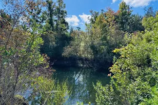 5271 NW Co Rd 347, Chiefland, FL 32626 - Photo 35