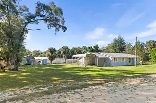 5390 NE 133rd Ave, Williston, FL 32696 - Photo 5