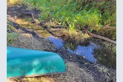 15031 SE 189th Place, Hawthorne, FL 32640 - Photo 35