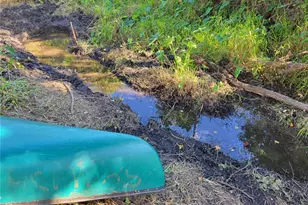 15031 SE 189th Pl, Hawthorne, FL 32640 - Photo 35