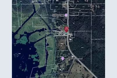 15031 SE 189th Place, Hawthorne, FL 32640 - Photo 5