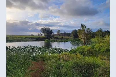 15031 SE 189th Place, Hawthorne, FL 32640 - Photo 49