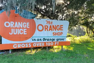 15031 SE 189th Pl, Hawthorne, FL 32640 - Photo 63