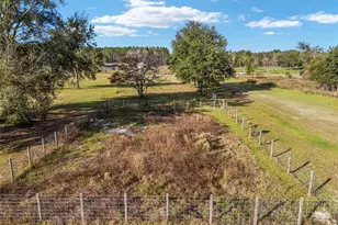 630 SW Marigold Pl, Fort White, FL 32038 - Photo 93