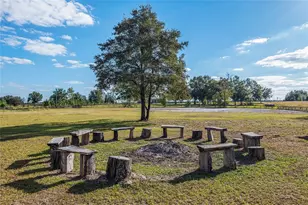 630 SW Marigold Pl, Fort White, FL 32038 - Photo 71