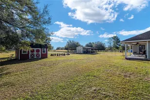 630 SW Marigold Pl, Fort White, FL 32038 - Photo 77