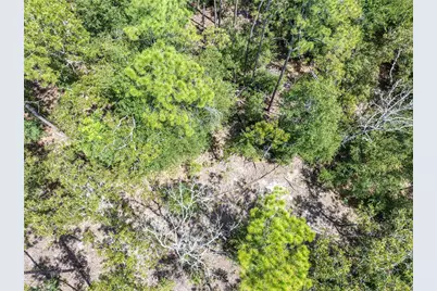 11160 NW 5th Avenue, Branford, FL 32008 - Photo 65