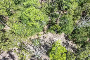 11160 NW 5th Ave, Branford, FL 32008 - Photo 65