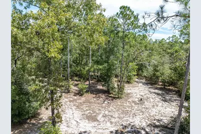 11160 NW 5th Avenue, Branford, FL 32008 - Photo 61