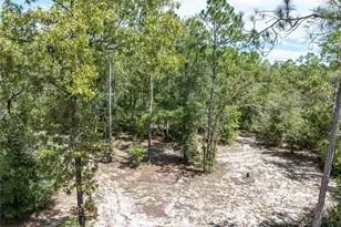 11160 NW 5th Ave, Branford, FL 32008 - Photo 61