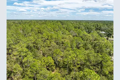 11160 NW 5th Avenue, Branford, FL 32008 - Photo 63