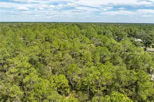 11160 NW 5th Ave, Branford, FL 32008 - Photo 63