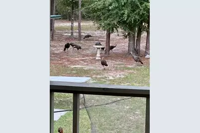 11160 NW 5th Avenue, Branford, FL 32008 - Photo 95