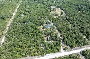 11160 NW 5th Ave, Branford, FL 32008 - Photo 87