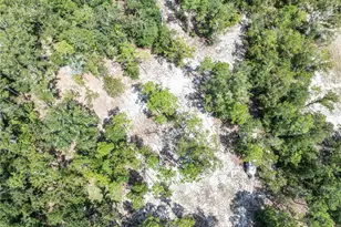 11160 NW 5th Ave, Branford, FL 32008 - Photo 89