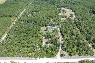 11160 NW 5th Ave, Branford, FL 32008 - Photo 85