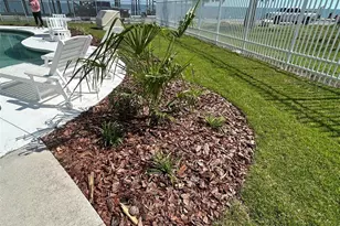 502 Main St, Horseshoe Beach, FL 32648 - Photo 49
