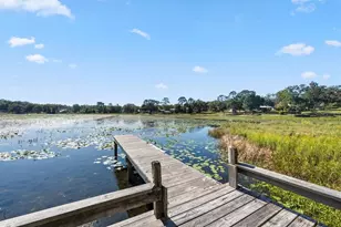 832 Lake Shore Ter, Interlachen, FL 32148 - Photo 29