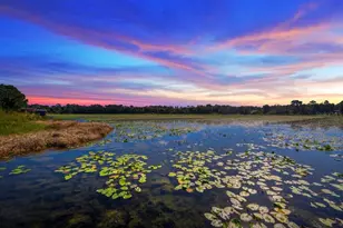 832 Lake Shore Ter, Interlachen, FL 32148 - Photo 41