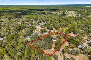 8430 NE 111th St, Bronson, FL 32621 - Photo 33