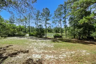 100 Olds Dr, Hawthorne, FL 32640 - Photo 43