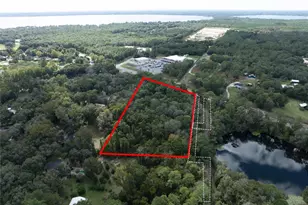 Sr-21, Melrose, FL 32666 - Photo 5