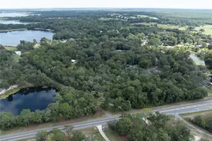 Sr-21, Melrose, FL 32666 - Photo 3