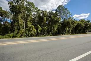 Sr-21, Melrose, FL 32666 - Photo 11