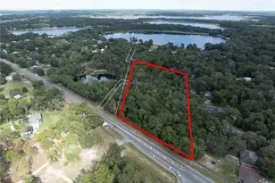 Sr-21, Melrose, FL 32666 - Photo 7