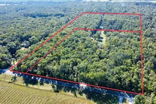 23719 NW 142nd Ave, High Springs, FL 32643 - Photo 3