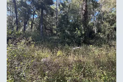 3250 NW 48th Avenue, Chiefland, FL 32626 - Photo 29