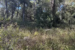 3250 NW 48th Ave, Chiefland, FL 32626 - Photo 29