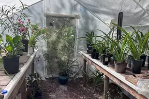 3250 NW 48th Ave, Chiefland, FL 32626 - Photo 27