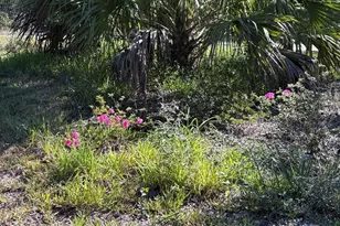 3250 NW 48th Ave, Chiefland, FL 32626 - Photo 35