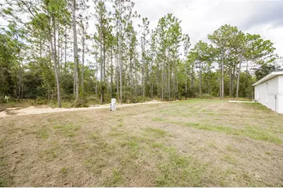 15360 NE 1st Place, Williston, FL 32696 - Photo 29