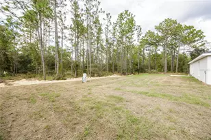 15360 NE 1st Pl, Williston, FL 32696 - Photo 29