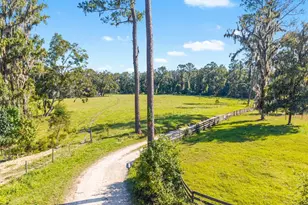 12719 NW 88th Pl, Alachua, FL 32615 - Photo 43