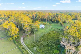 12719 NW 88th Pl, Alachua, FL 32615 - Photo 49