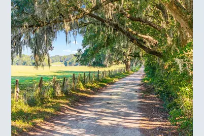 12719 NW 88th Place, Alachua, FL 32615 - Photo 39