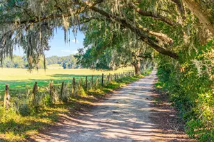 12719 NW 88th Pl, Alachua, FL 32615 - Photo 39