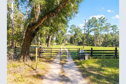 12719 NW 88th Place, Alachua, FL 32615 - Photo 45