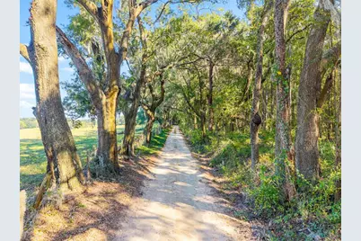 12719 NW 88th Place, Alachua, FL 32615 - Photo 41