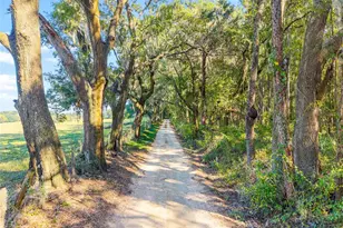 12719 NW 88th Pl, Alachua, FL 32615 - Photo 41