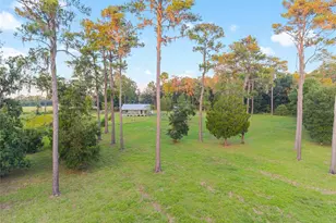 12719 NW 88th Pl, Alachua, FL 32615 - Photo 55